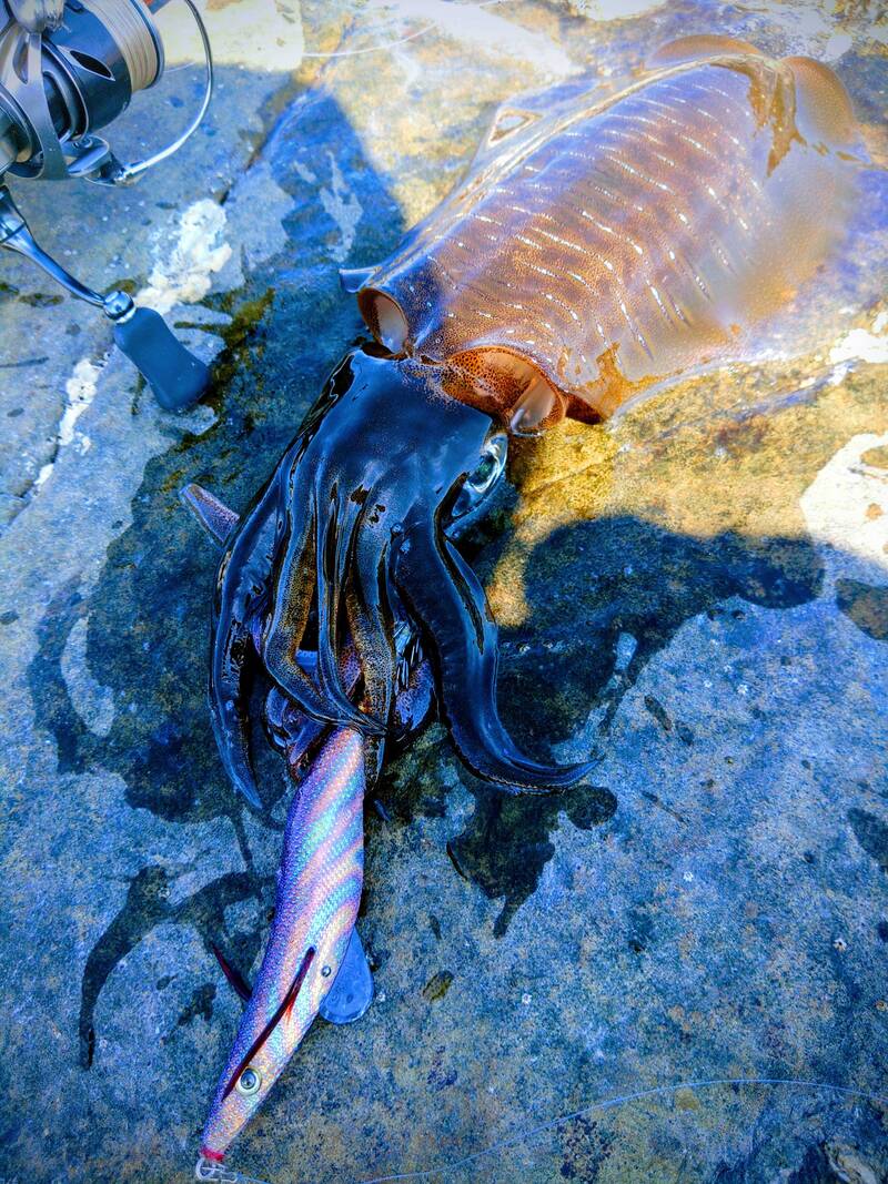 EgiSharp size 3.5 Goto-nada Salty Blue
