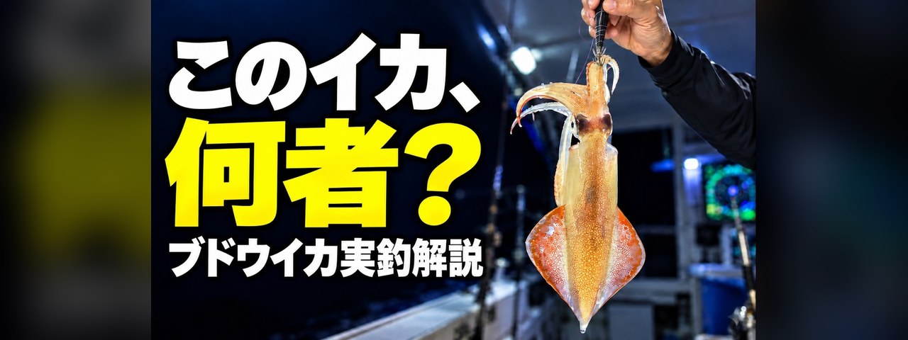 動画「このイカ、何者？ ブドウイカ実釣解説」のサムネイル。船の上で釣り上げたブドウイカ。ブドウイカはケンサキイカの亜種（季節型）で、10月から11月に日本海西側で狙う。