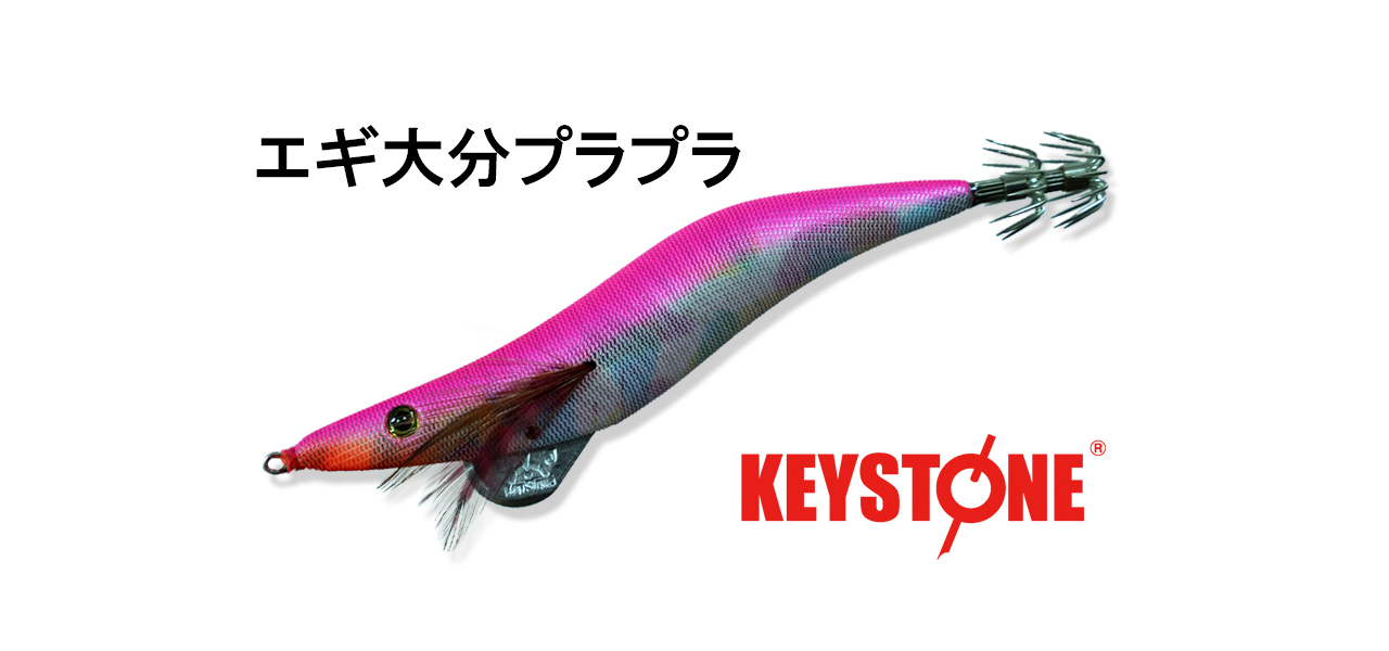 エギ大分プラプラ