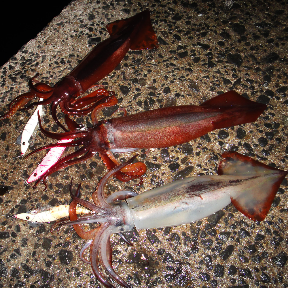 Jado Egi